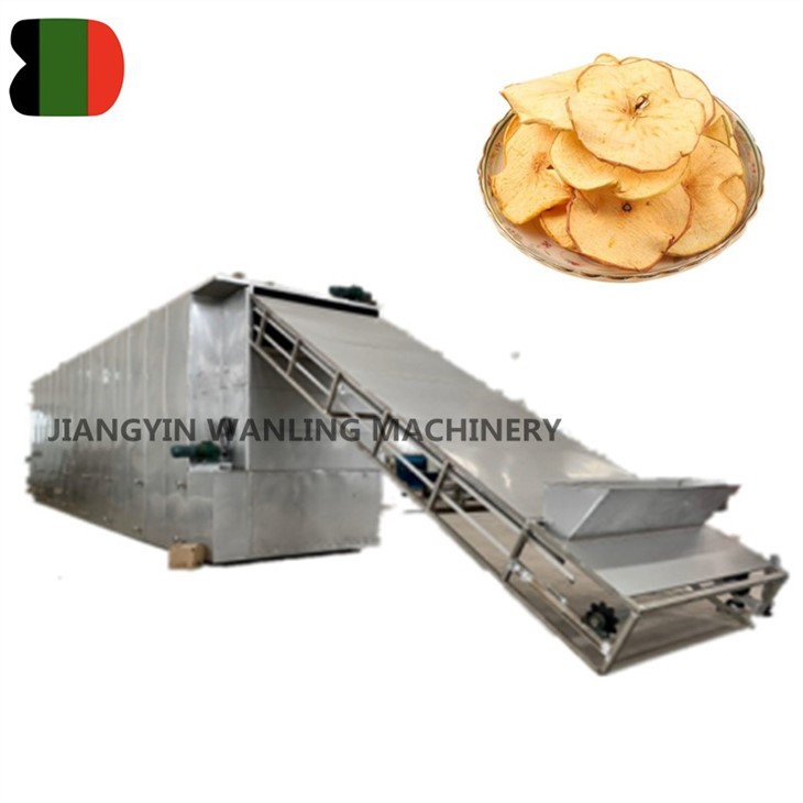 1DW Belt Dryer machine